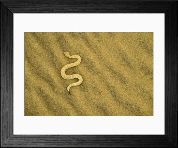Framed Print : Picture No. 10761862 Framed Print : Picture No. 10761862
