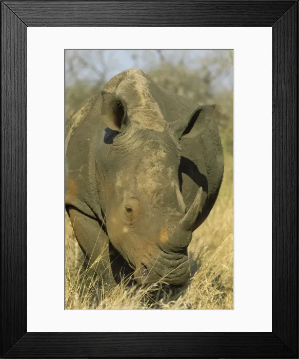 Framed Print : Picture No. 10761867 Framed Print : Picture No. 10761867