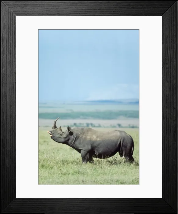 Framed Print : Picture No. 10761864