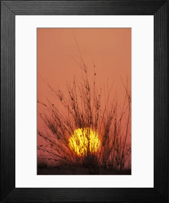 Framed Print : Picture No. 10761870