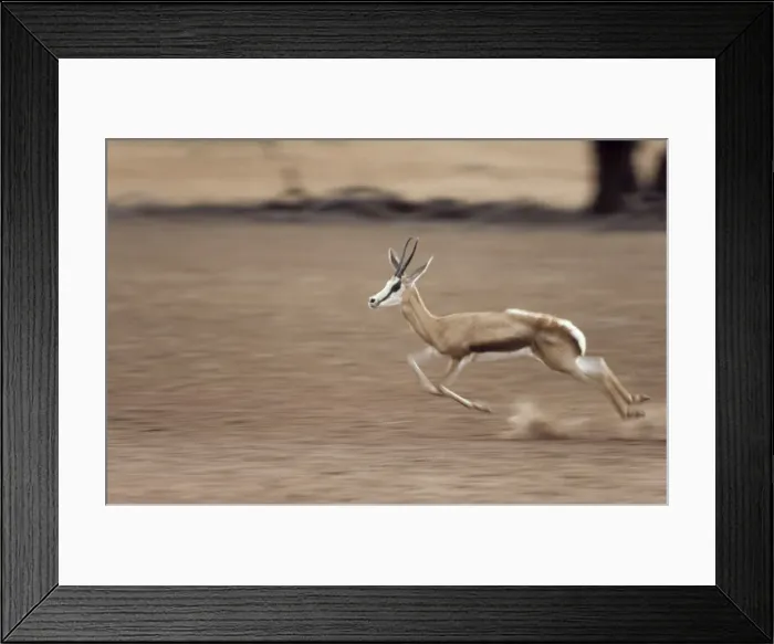 Framed Print : Picture No. 10761872 Framed Print : Picture No. 10761872