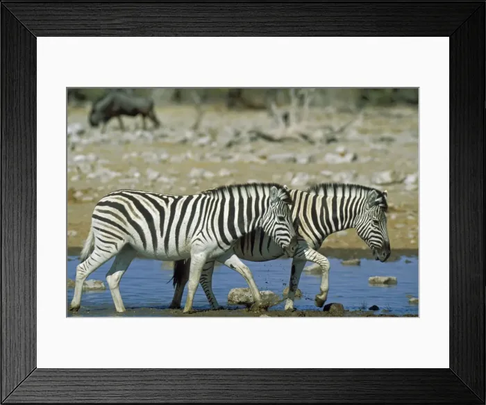 Framed Print : Picture No. 10761882
