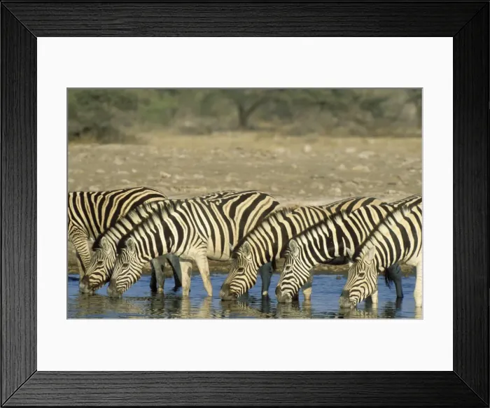 Framed Print : Picture No. 10761883 Framed Print : Picture No. 10761883