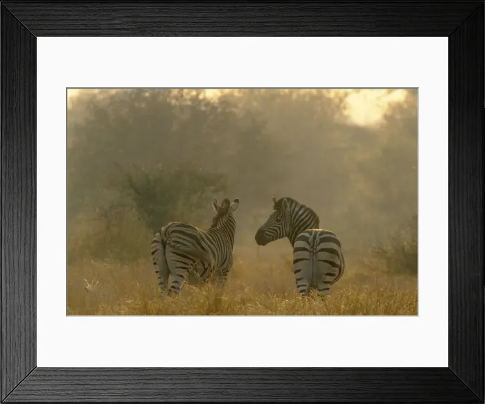 Framed Print : Picture No. 10761879 Framed Print : Picture No. 10761879