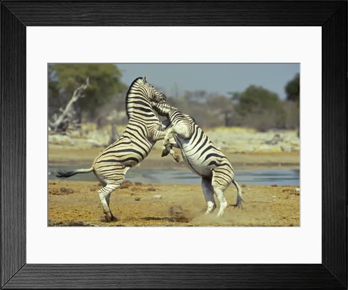 Framed Print : Picture No. 10761880 Framed Print : Picture No. 10761880