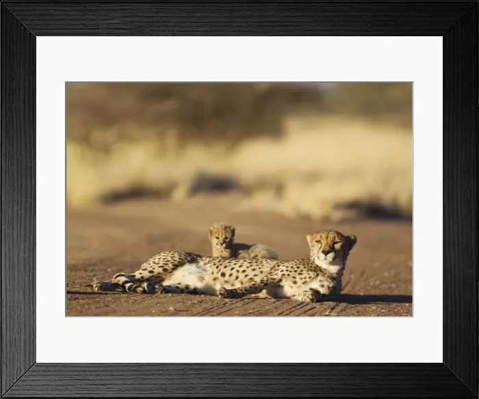 Framed Print : Picture No. 10761913 Framed Print : Picture No. 10761913
