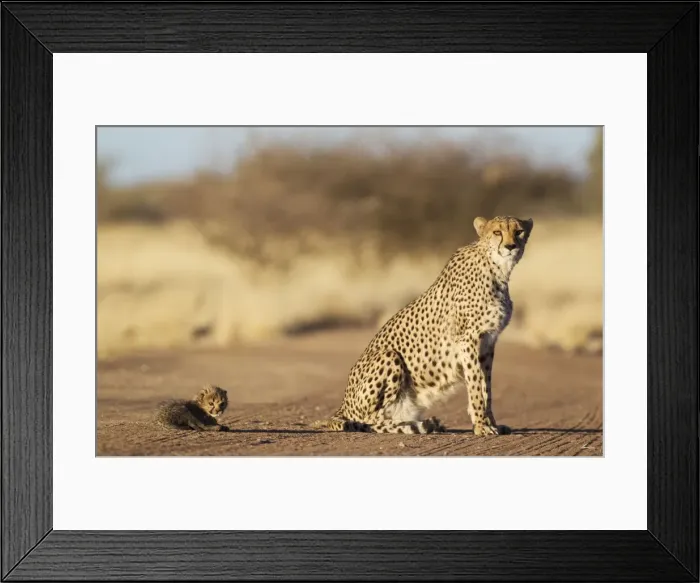 Framed Print : Picture No. 10761912 Framed Print : Picture No. 10761912