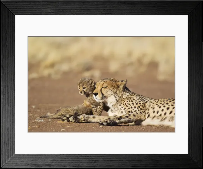 Framed Print : Picture No. 10761910 Framed Print : Picture No. 10761910
