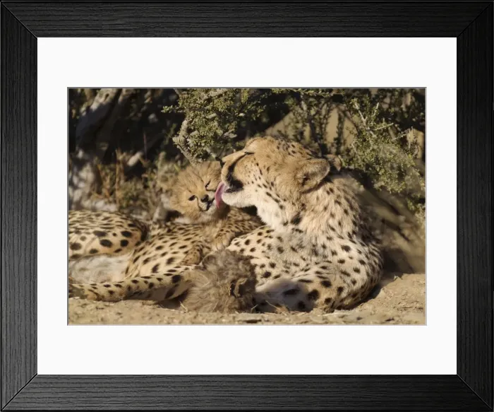 Framed Print : Picture No. 10761927 Framed Print : Picture No. 10761927