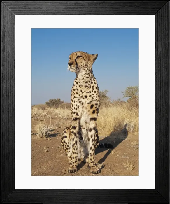Framed Print : Picture No. 10761934 Framed Print : Picture No. 10761934