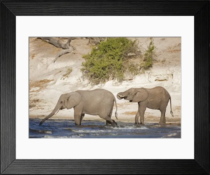 Framed Print : Picture No. 10761940 Framed Print : Picture No. 10761940