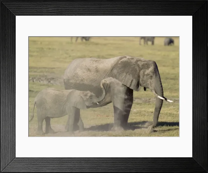 Framed Print : Picture No. 10761943 Framed Print : Picture No. 10761943