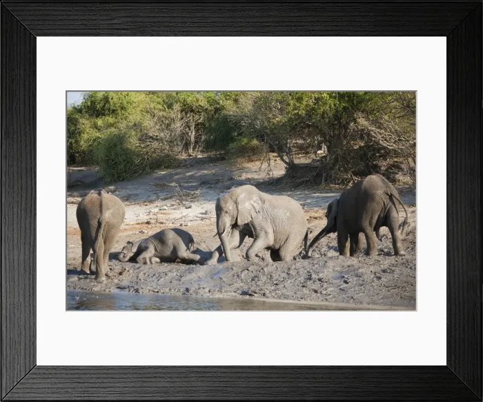 Framed Print : Picture No. 10761939 Framed Print : Picture No. 10761939