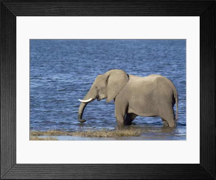 Framed Print : Picture No. 10761947 Framed Print : Picture No. 10761947