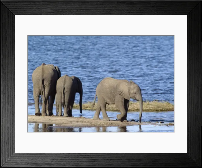 Framed Print : Picture No. 10761944 Framed Print : Picture No. 10761944