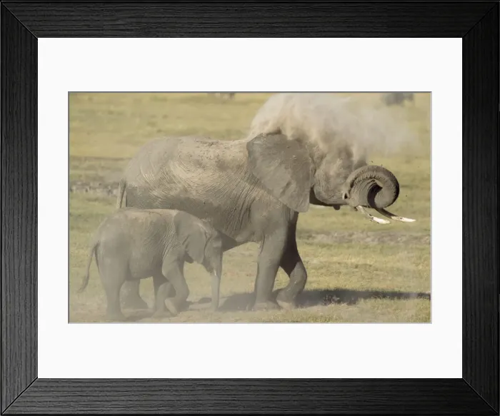 Framed Print : Picture No. 10761942 Framed Print : Picture No. 10761942