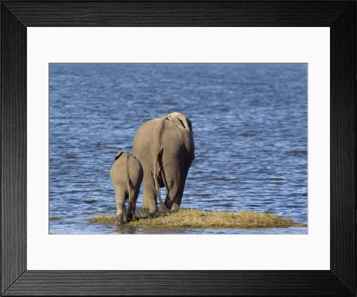 Framed Print : Picture No. 10761946 Framed Print : Picture No. 10761946