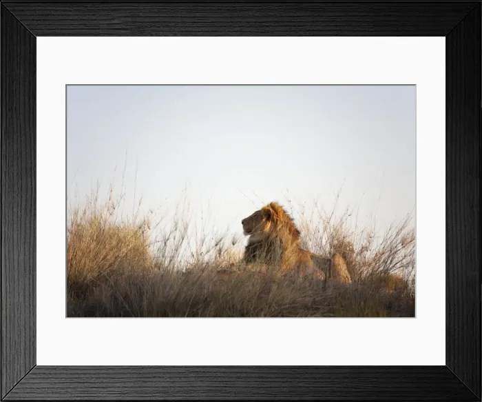Framed Print : Picture No. 10761952 Framed Print : Picture No. 10761952