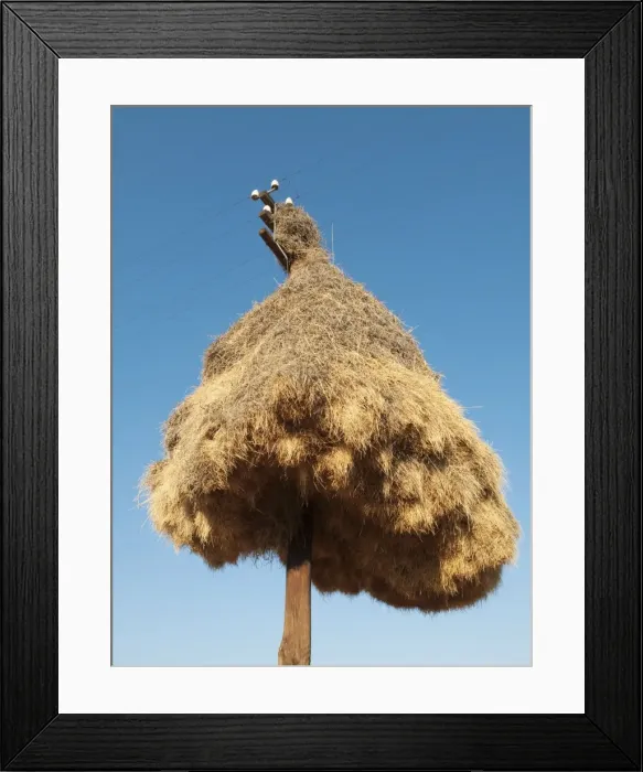 Framed Print : Picture No. 10761967 Framed Print : Picture No. 10761967