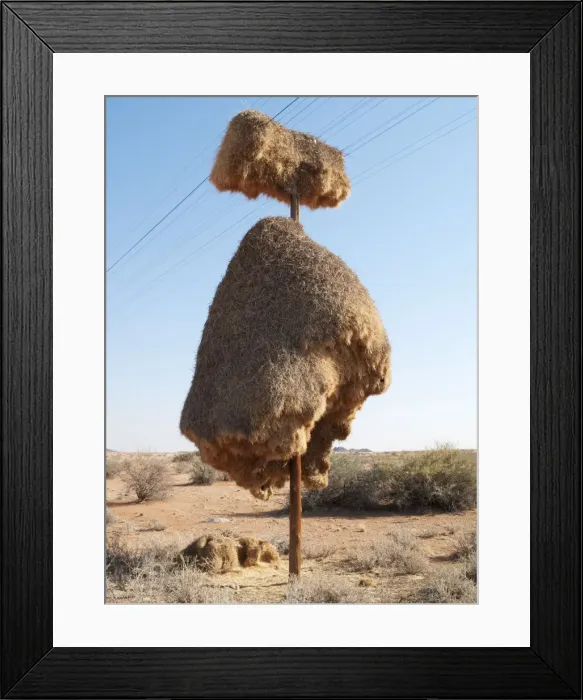 Framed Print : Picture No. 10761969