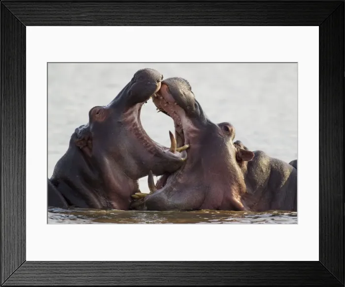 Framed Print : Picture No. 10761982 Framed Print : Picture No. 10761982