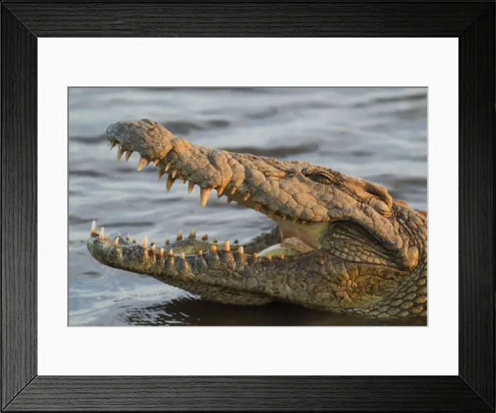 Framed Print : Picture No. 10761989 Framed Print : Picture No. 10761989