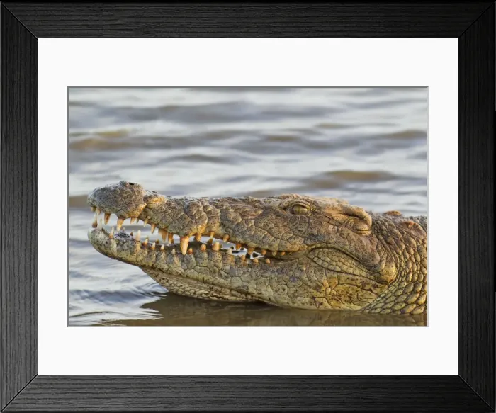 Framed Print : Picture No. 10761987 Framed Print : Picture No. 10761987