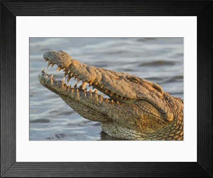 Framed Print : Picture No. 10761988 Framed Print : Picture No. 10761988