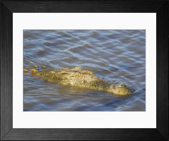 Framed Print : Picture No. 10761990 Framed Print : Picture No. 10761990
