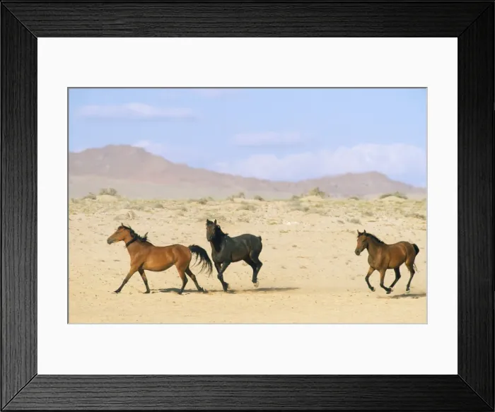 Framed Print : Picture No. 10762002 Framed Print : Picture No. 10762002