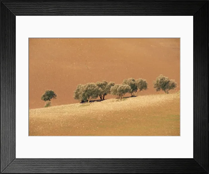 Framed Print : Picture No. 10762001 Framed Print : Picture No. 10762001