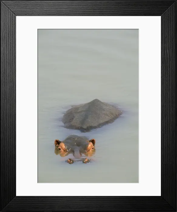Framed Print : Picture No. 10762006 Framed Print : Picture No. 10762006
