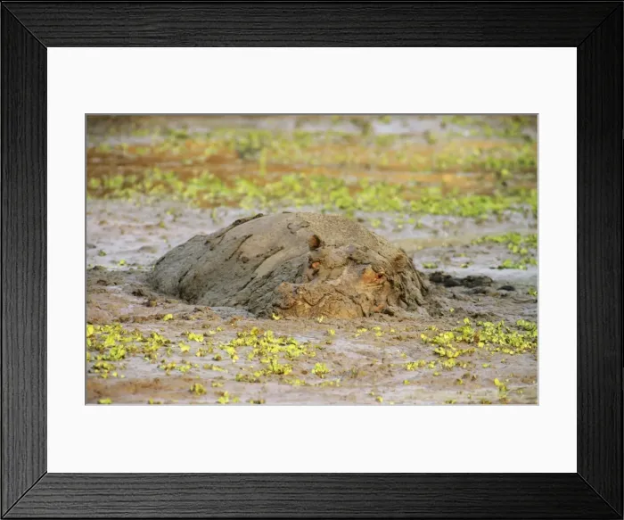 Framed Print : Picture No. 10762004 Framed Print : Picture No. 10762004