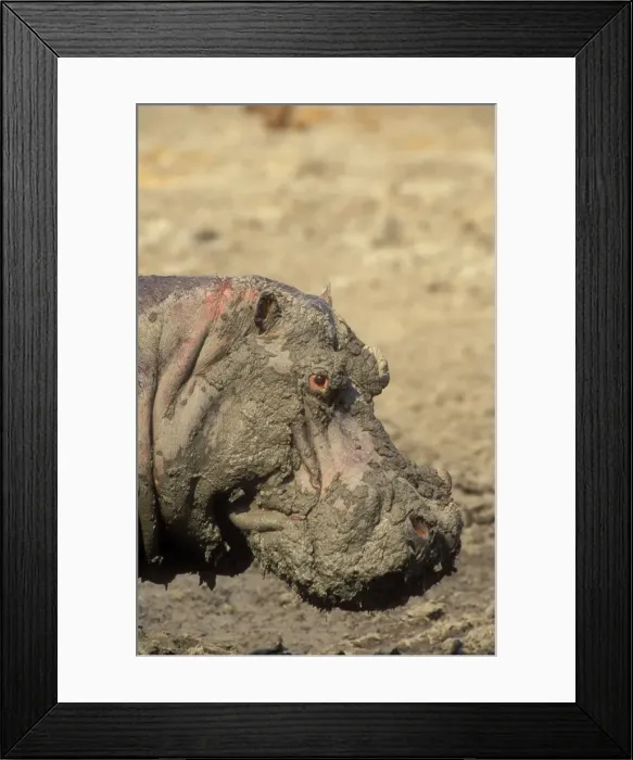 Framed Print : Picture No. 10762007 Framed Print : Picture No. 10762007