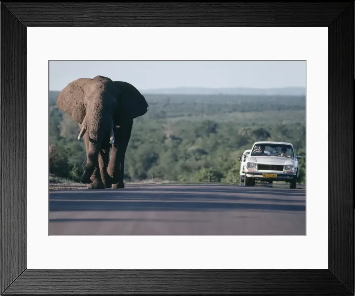 Framed Print : Picture No. 10762069