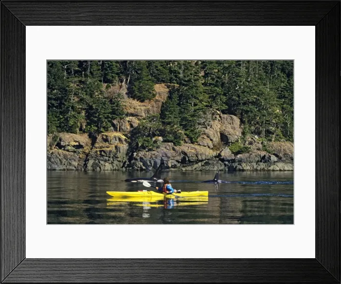 Framed Print : Picture No. 10762302 Framed Print : Picture No. 10762302