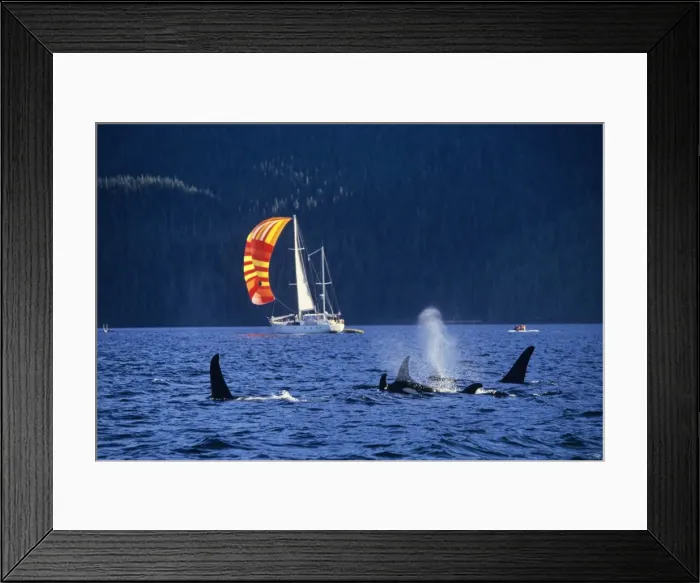 Framed Print : Picture No. 10762428 Framed Print : Picture No. 10762428