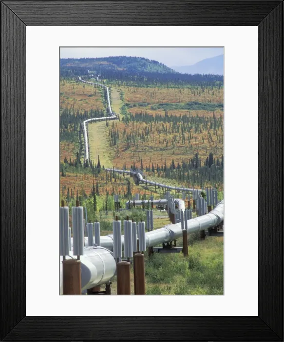 Framed Print : Picture No. 10762610 Framed Print : Picture No. 10762610
