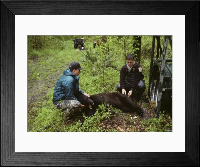 Framed Print : Picture No. 10762549 Framed Print : Picture No. 10762549