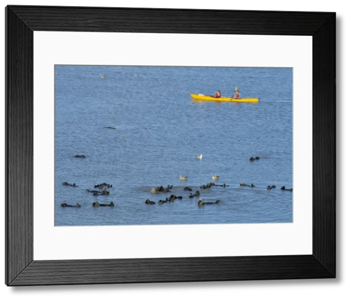 Framed Print : Picture No. 10762727 Framed Print : Picture No. 10762727