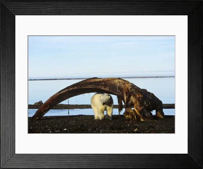 Framed Print : Picture No. 10762720 Framed Print : Picture No. 10762720