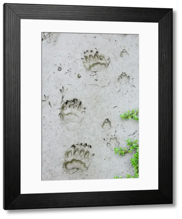 Framed Print : Picture No. 10762789 Framed Print : Picture No. 10762789