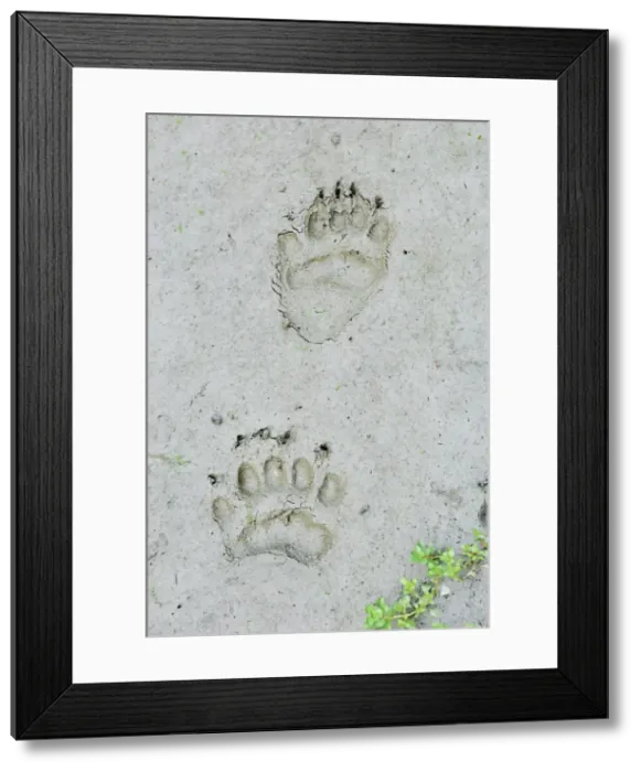 Framed Print : Picture No. 10762791 Framed Print : Picture No. 10762791