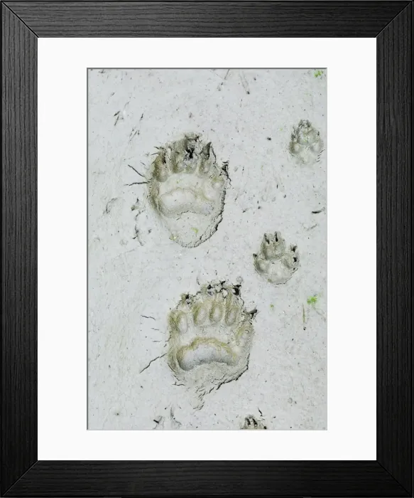 Framed Print : Picture No. 10762792 Framed Print : Picture No. 10762792