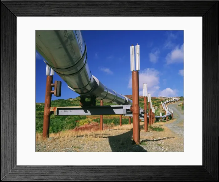 Framed Print : Picture No. 10762865 Framed Print : Picture No. 10762865