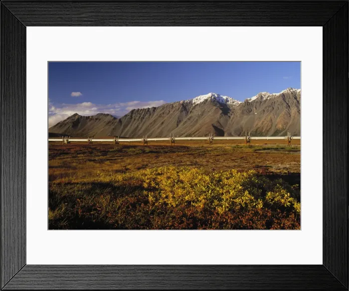 Framed Print : Picture No. 10762864 Framed Print : Picture No. 10762864