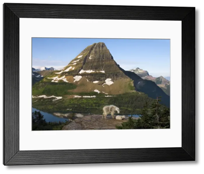 Framed Print : Picture No. 10762895 Framed Print : Picture No. 10762895