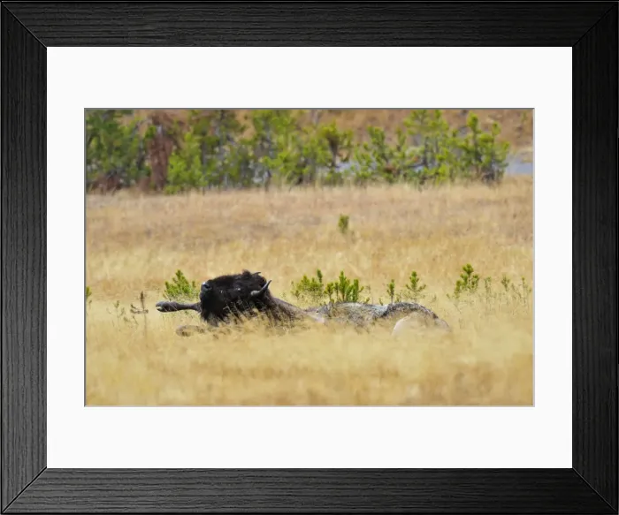 Framed Print : Picture No. 10763032 Framed Print : Picture No. 10763032