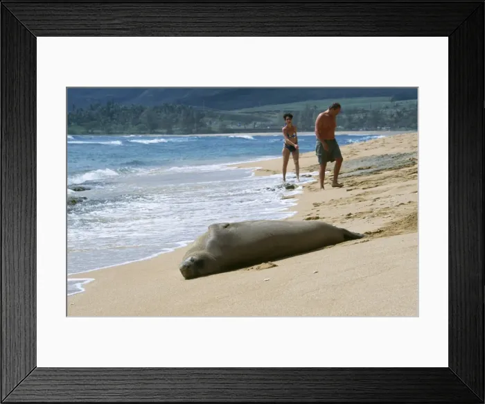 Framed Print : Picture No. 10763062 Framed Print : Picture No. 10763062
