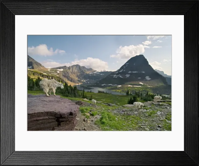 Framed Print : Picture No. 10762897 Framed Print : Picture No. 10762897